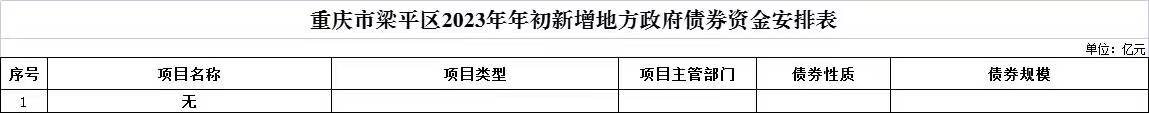 重庆市梁平区2023年年初新增地方政府债券资金安排表.jpg